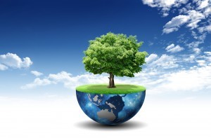 Foreign Issuer Securities Lawyer 101