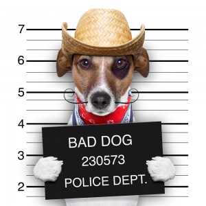 Securities Lawyer101 l Brenda Hamilton Attorney Securities Lawyer101 l Brenda Hamilton Attorney