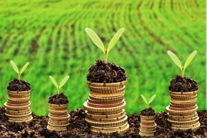 Going Public Attorneys & Direct Public Offering Lawyers