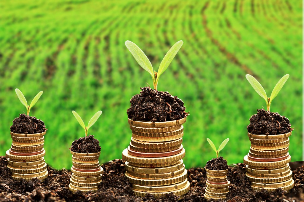Going Public Attorneys & Direct Public Offering Lawyers