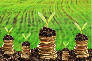 EB-Offerings - Going Public Attorneys