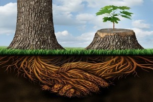Accredited Crowdfunding Q & A - Going Public Lawyers
