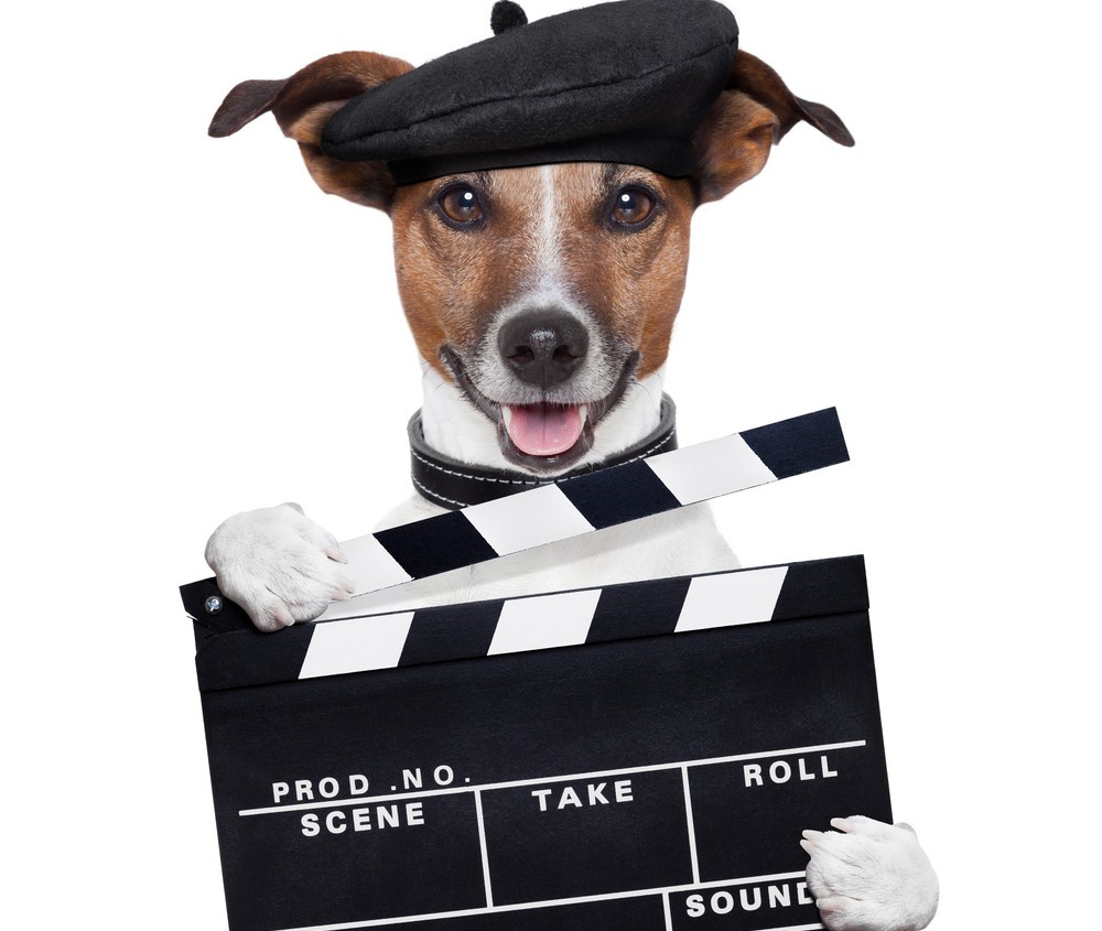 On September 23, 2016, the SEC charged Manu Kumaran in connection with Medient Studios and later Moon River Studios. According to the SEC, Kumaran defrauded investors in a purported project to construct the largest movie studio in North America at a suburban location outside Savannah, Georgia. According to the SEC complaint, Manu Kumaran, the founder and former chairman and CEO of a startup movie production company called Medient Studios and later Moon River Studios, schemed with his successor CEO Jake Shapiro to make an assortment of false and misleading statements in press releases and corporate filings. They allegedly claimed that construction was underway and projected dates by which the studio would be operational while knowing full well they did not have anywhere near sufficient funding to begin building the touted "Studioplex." In addition, Kumaran, Shapiro, and Roger Miguel – the CEO of a separate successor public company called Fonu2 that also operated under the name Moon River Studios – are alleged to have backdated and falsified promissory notes as part of a scheme to issue common stock in exchange for financing. We will be blogging about Fonu2 in the future. Manu Kumaran