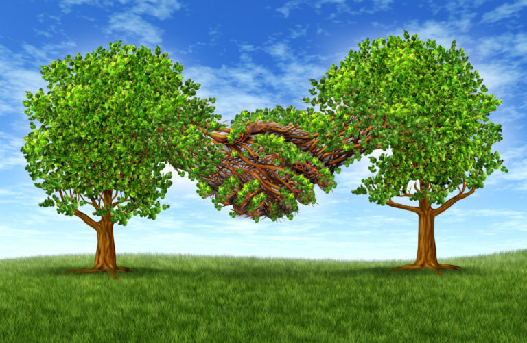 Regulation D Rule 504 Securities Offering Requirements and Disclosures